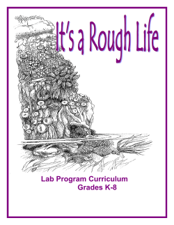 Lab Program Curriculum Grades K-8
