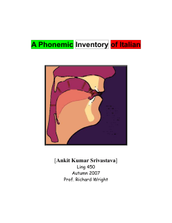 A Phonemic Inventory of Italian
