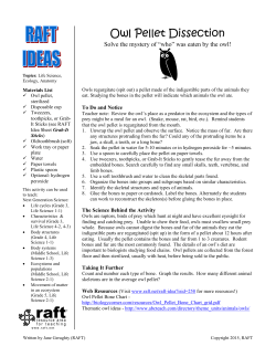 Owl Pellet Dissection