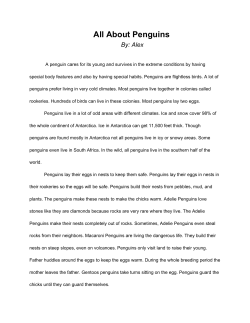 All About Penguins By: Alex