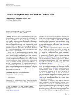 Multi-Class Segmentation with Relative Location Prior