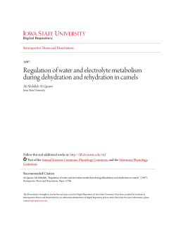 Regulation of water and electrolyte metabolism during dehydration