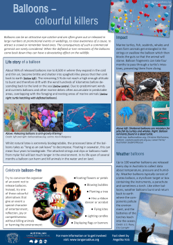 Balloons - Tangaroa Blue Foundation