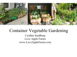 Container Vegetable Gardening