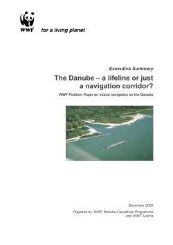 The Danube &oelig; a lifeline or just a navigation corridor?