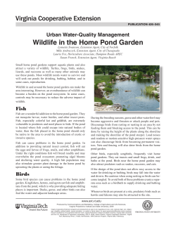 Urban Water-Quality Management Wildlife In The Home Pond Garden