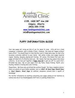 PUPPY INFORMATION GUIDE - landinganimalclinic.com