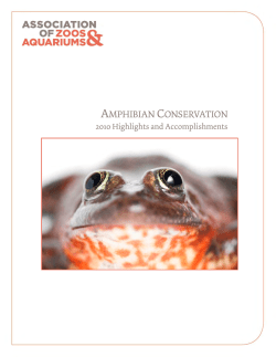 Amphibian Conservation - 2010 Highlights and Accomplishments