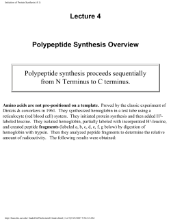 Initiation of Protein Synthesis (4.1)