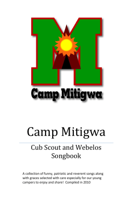 Camp Mitigwa