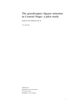 The grasshopper Sigaus minutus in Central Otago: a pilot study