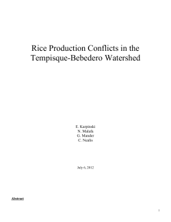 Rice Report - College of Law-University of Fl