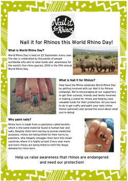Nail it for Rhinos this World Rhino Day!