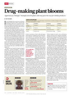 Drug-making plant blooms