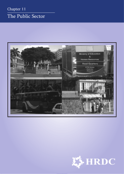 The Public Sector