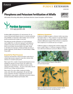 Phosphorus and Potassium Fertilization of Alfalfa