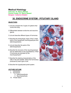 Medical Histology 30. ENDOCRINE SYSTEM