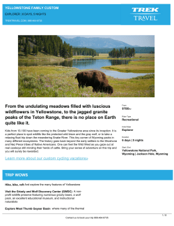 From the undulating meadows filled with luscious