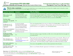 Cornerstone PPO HSA 6000 - Community Health Options