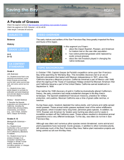 the Viewing Guide - Education