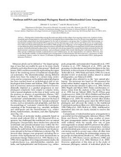 Poriferan mtDNA and Animal Phylogeny Based