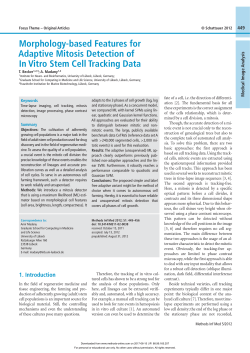 Morphology-based Features for Adaptive Mitosis