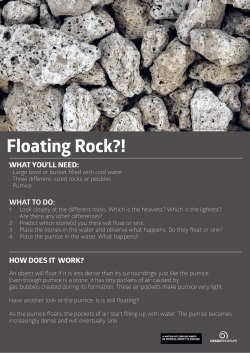 Floating Rock - Port Chalmers School