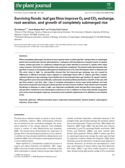 Surviving floods: leaf gas films improve O2 and CO2 exchange, root