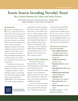 Exotic Insects Invading Nevada`s Trees!