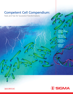 Competent Cell Compendium - Sigma