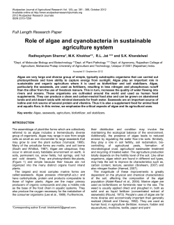 Role of algae and cyanobacteria in sustainable agriculture system