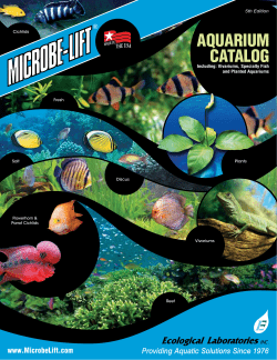 aquarium catalog - MICROBE-LIFT