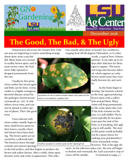 December 2016pdf PDF