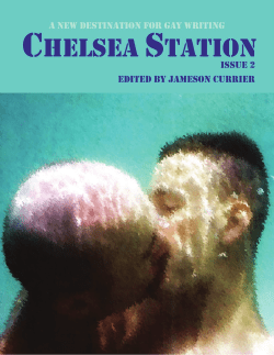 Read an excerpt from Shirts and Skins