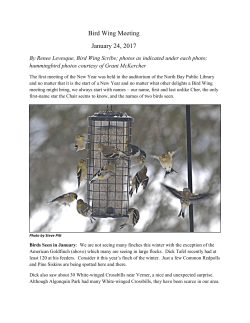 Bird Wing Meeting January 24, 2017