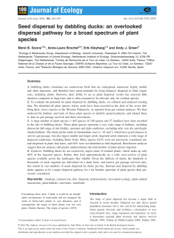 Seed dispersal by dabbling ducks: an overlooked dispersal pathway