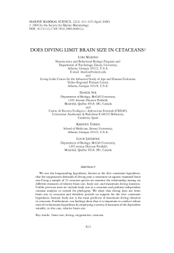 does diving limit brain size in cetaceans?