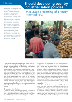 Should developing country industrialisation policies