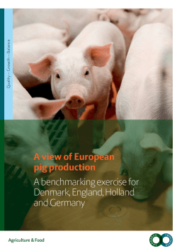 A view of European pig production A benchmarking exercise for
