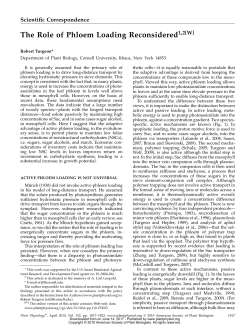 The Role of Phloem Loading Reconsidered1,2[W]