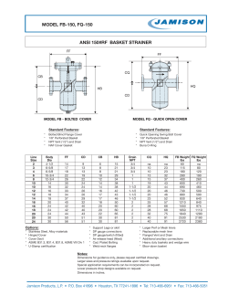 ANSI 150#RF BASKET STRAINER