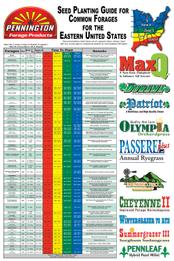Seed Planting Guide
