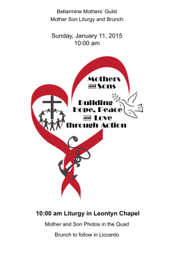 Mothers Sons Hope, Peace Love through Action Building