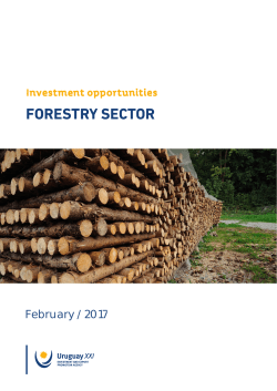 forestry sector