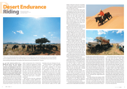 Desert Endurance Riding