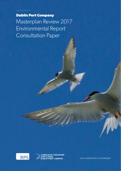 Environmental Report Consultation Paper