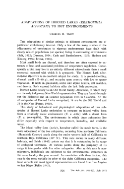 ADAPTATIONS OF HORNED LARKS (EREMOPHILA ALPESTRIS
