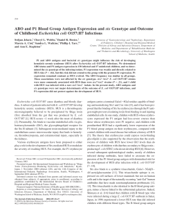 ABO and P1 Blood Group Antigen Expression and stx Genotype and