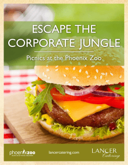 Picnic Planner Menu - Lancer Hospitality