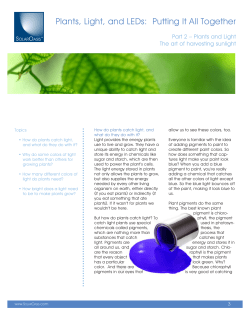 Plants, Light, and LEDs: Putting It All Together